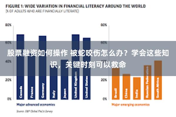 股票融资如何操作 被蛇咬伤怎么办？学会这些知识，关键时刻可以救命