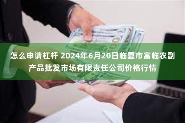 怎么申请杠杆 2024年6月20日临夏市富临农副产品批发市场有限责任公司价格行情