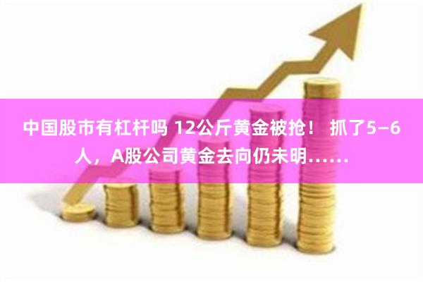 中国股市有杠杆吗 12公斤黄金被抢！ 抓了5—6人，A股公司黄金去向仍未明……