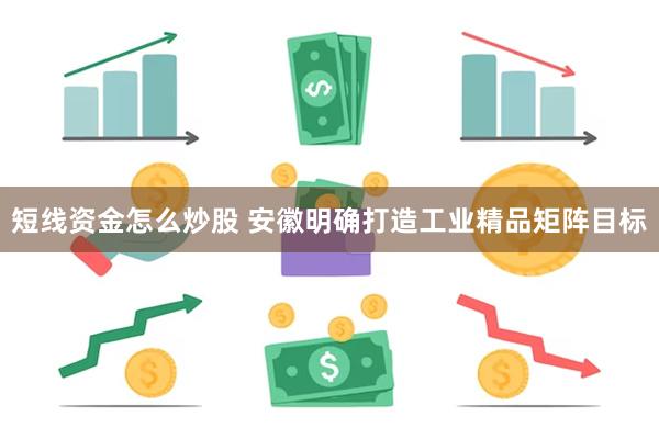 短线资金怎么炒股 安徽明确打造工业精品矩阵目标