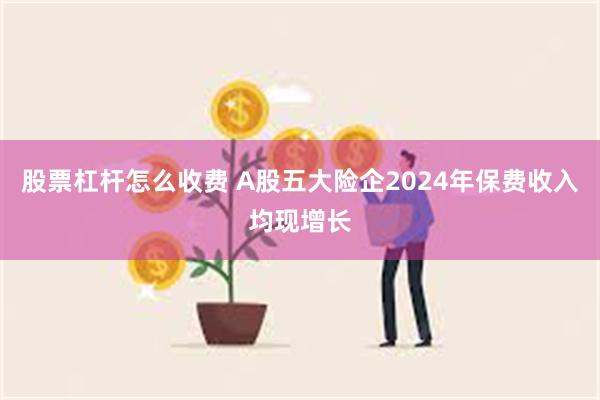 股票杠杆怎么收费 A股五大险企2024年保费收入均现增长