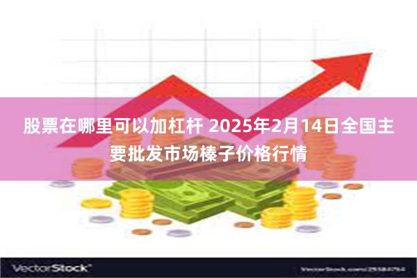 股票在哪里可以加杠杆 2025年2月14日全国主要批发市场榛子价格行情