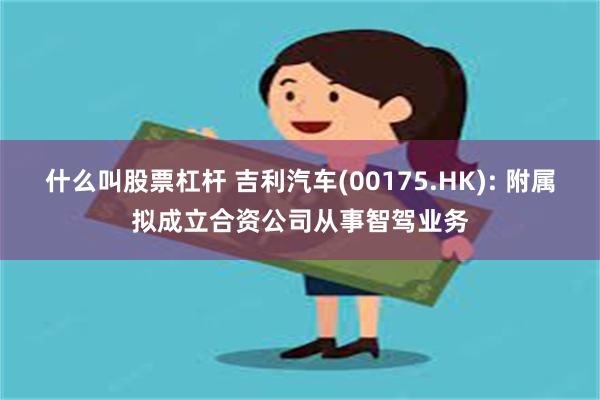 什么叫股票杠杆 吉利汽车(00175.HK): 附属拟成立合资公司从事智驾业务