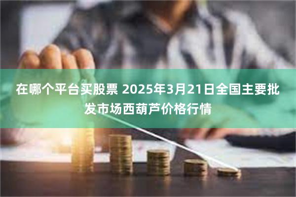 在哪个平台买股票 2025年3月21日全国主要批发市场西葫芦价格行情